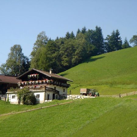 Willa Almliesl Mitt-581 Mittersill Zewnętrze zdjęcie